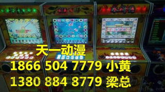 小型雙人打魚游戲機的價格及廣州番禺區市橋王訊動漫產品開發部的相關介紹